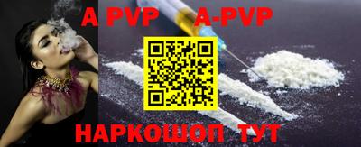 тгк Кингисепп