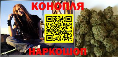тгк Кингисепп