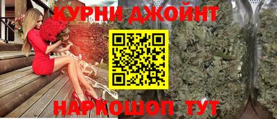 тгк Кингисепп
