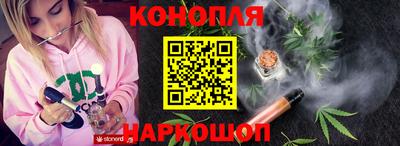 тгк Кингисепп