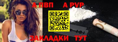 тгк Кингисепп