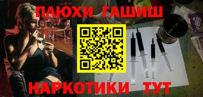 тгк Кингисепп