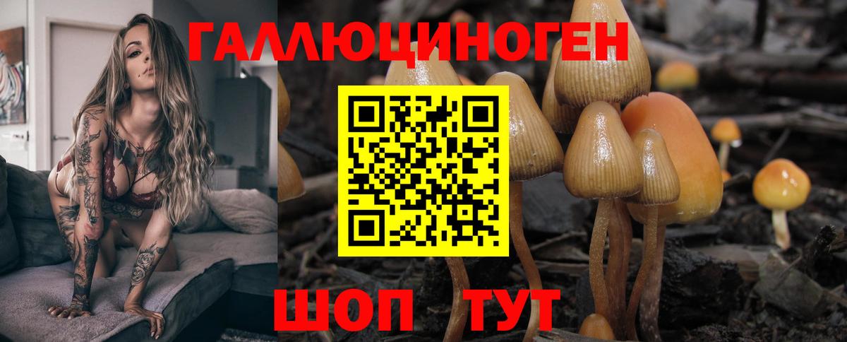 Ефремов  Галлюциногенные грибы Magic Shrooms  Псилоцибиновые грибы мицелий  Вход с VPN 