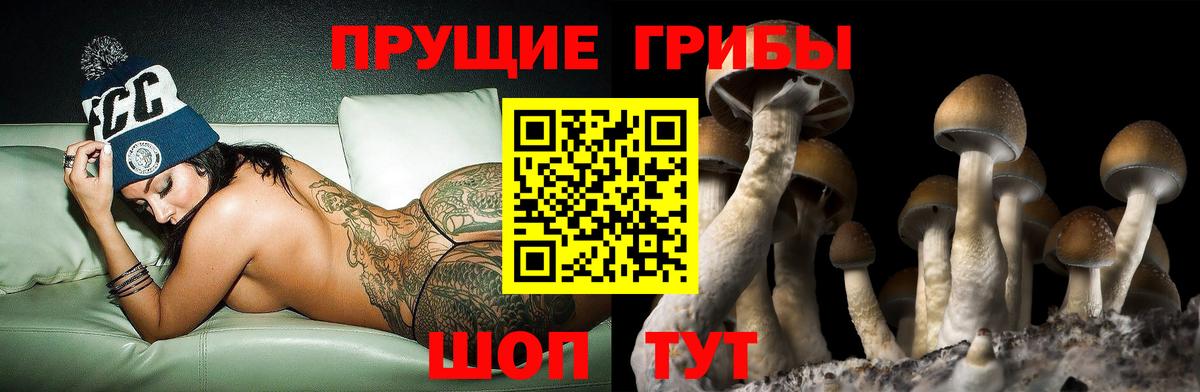 Псилоцибиновые грибы мухоморы Ефремов